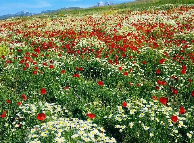 La Dote 3* Santo Stefano Di Sessanio